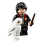 Harry Potter®