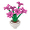 Plants & Flowers