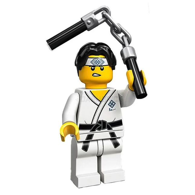 LEGO Collectable Minifigures - Martial Arts Boy (10 of 16) [Series 20]